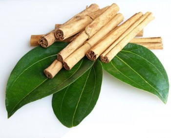 Αιθέριο έλαιο κανέλας (Cinnamon Zeylanicum) 10 ml