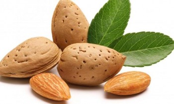 Αμυγδαλέλαιο - Almond oil 100 ml