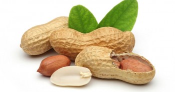 Αραχιδέλαιο - Peanut oil 100 ml