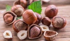 Φουντουκέλαιο - Hazelnut oil 100 ml