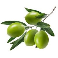 Λάδι συνθετικού Σκουαλενίου - Squalane oil 50 ml Λάδι συνθετικού Σκουαλενίου - Squalane oil 50 ml