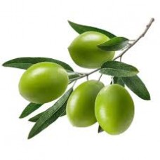 Λάδι συνθετικού Σκουαλενίου - Squalane oil 50 ml 