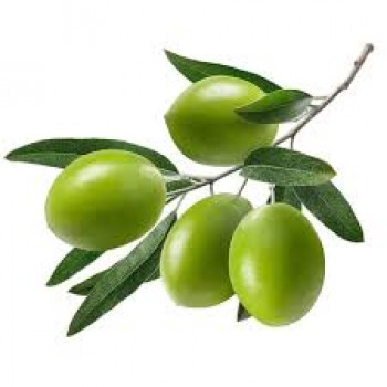 Λάδι συνθετικού Σκουαλενίου - Squalane oil 50 ml 