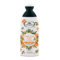 Σαμπουάν με βασιλικό πολτό- L' Angelica Shampoo Nourishing 250ml