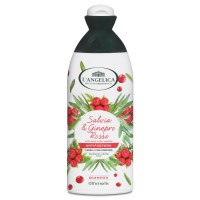 Σαμπουάν κατά της πιτυρίδας- L' Angelica Shampoo Anti-Dandruff 250ml