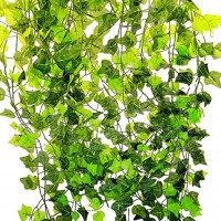 Βάμμα κισσού (Hedera helix) 50 ml