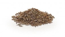 Βάμμα κύμινου (Cuminum cyminum) 50 ml Βάμμα κύμινου (Cuminum cyminum) 50 ml