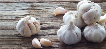 Βάμμα σκόρδου (Allium sativum) 50 ml