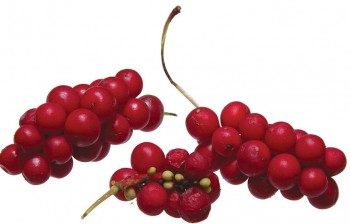 Βάμμα σχισάνδρας (Schisandra chinensis) 50 ml